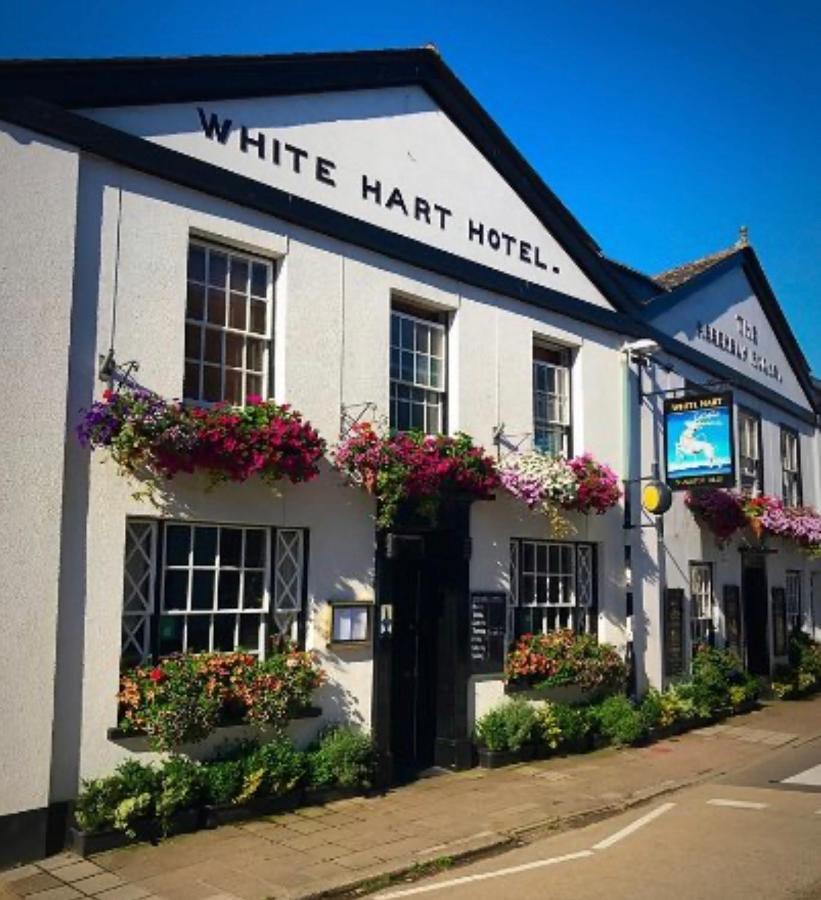 The White Hart Hotel Modbury Exteriör bild